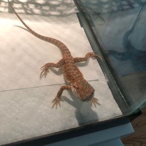 Meet your Posher, Kaitlin